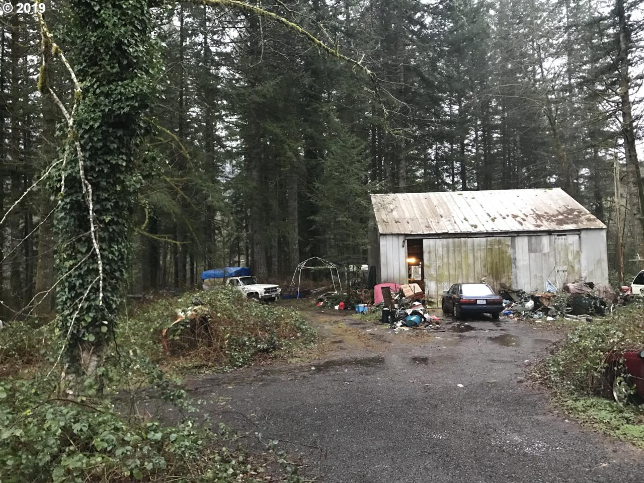 2 Lewis River Rd - Photo 1