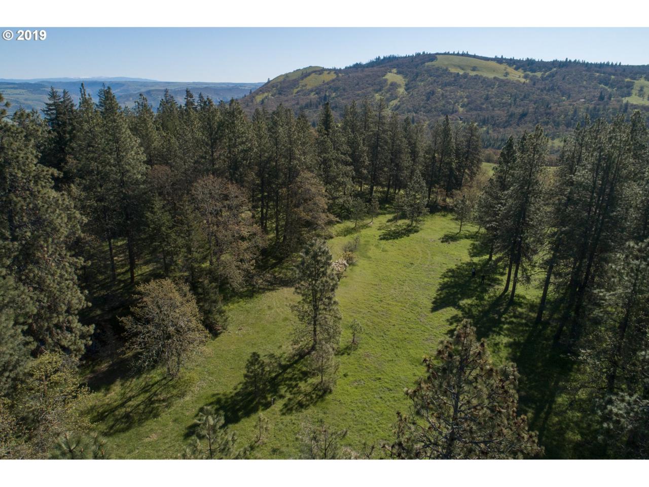 2110 Dundas Way - Photo 1