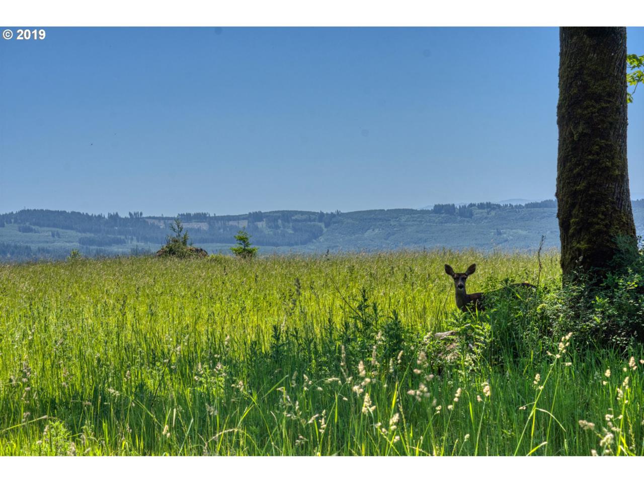 0 Alvas Rd - Photo 1