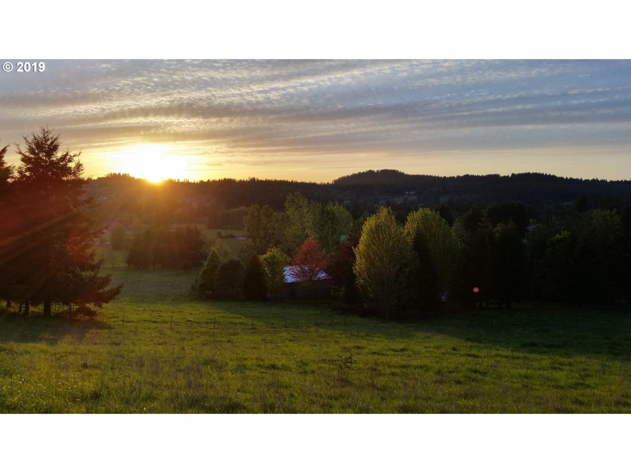 17444 Vogel Rd - Photo 1