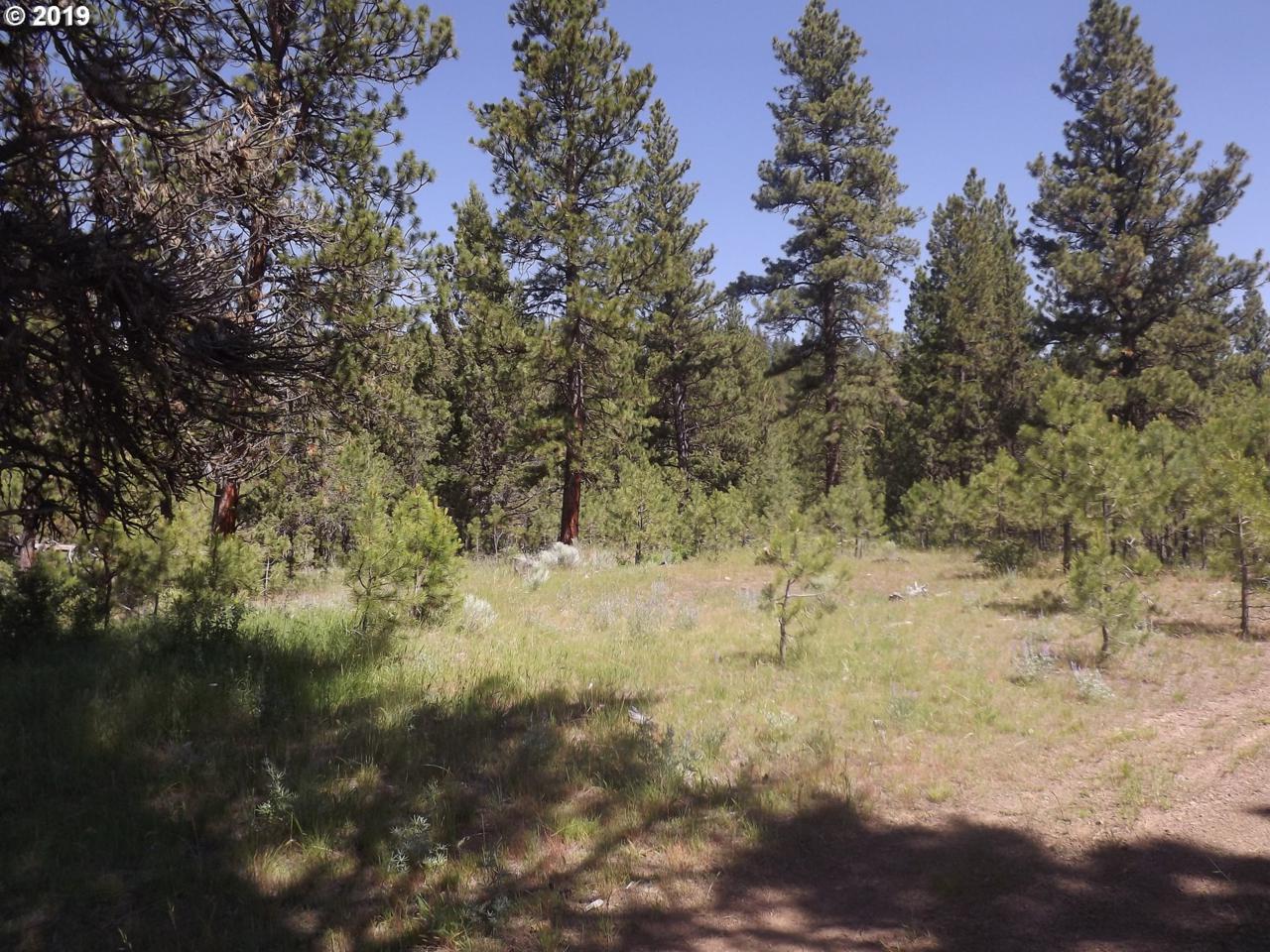0 0 - Photo 1