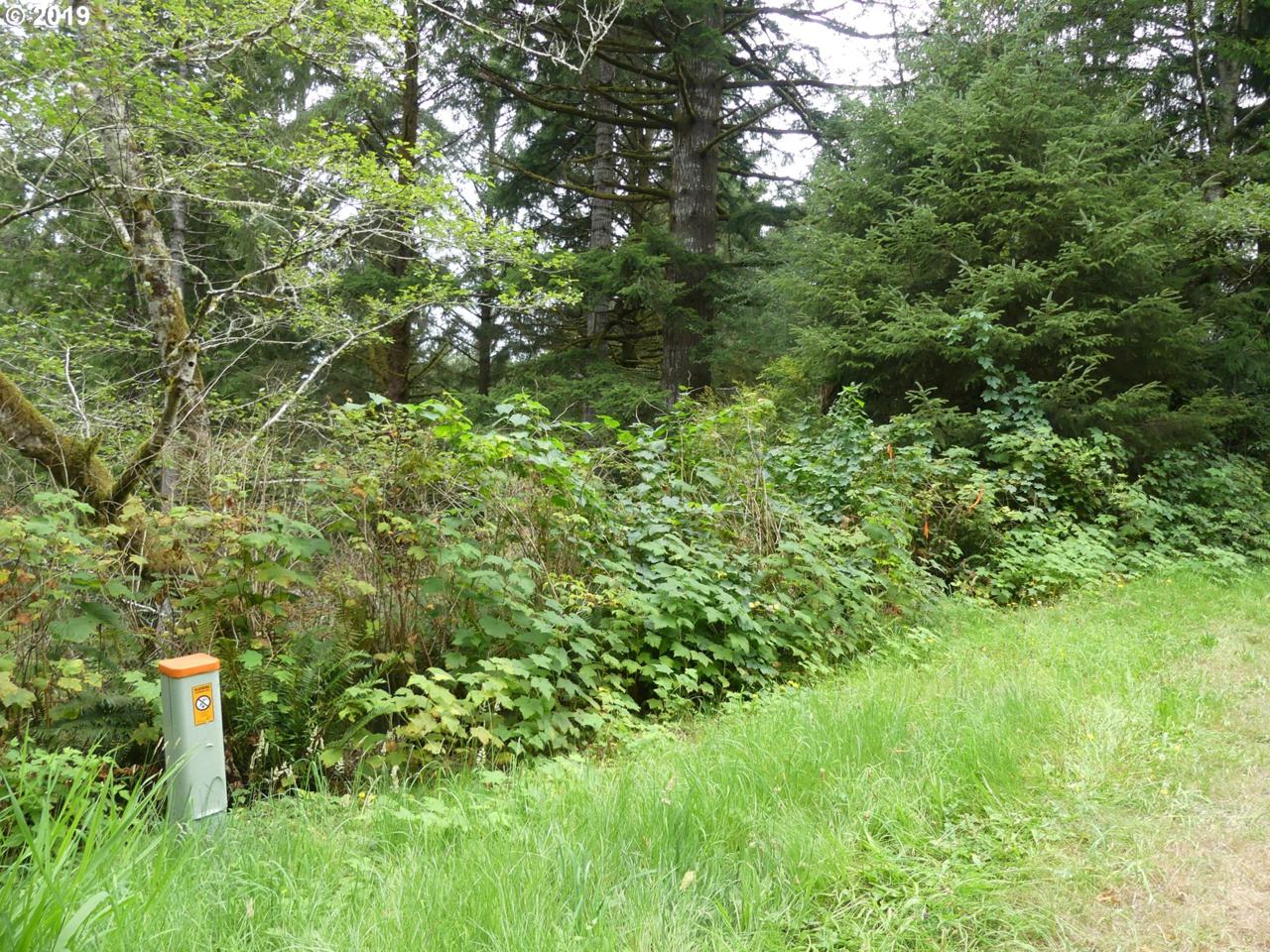 Mercer Lake Rd - Photo 1