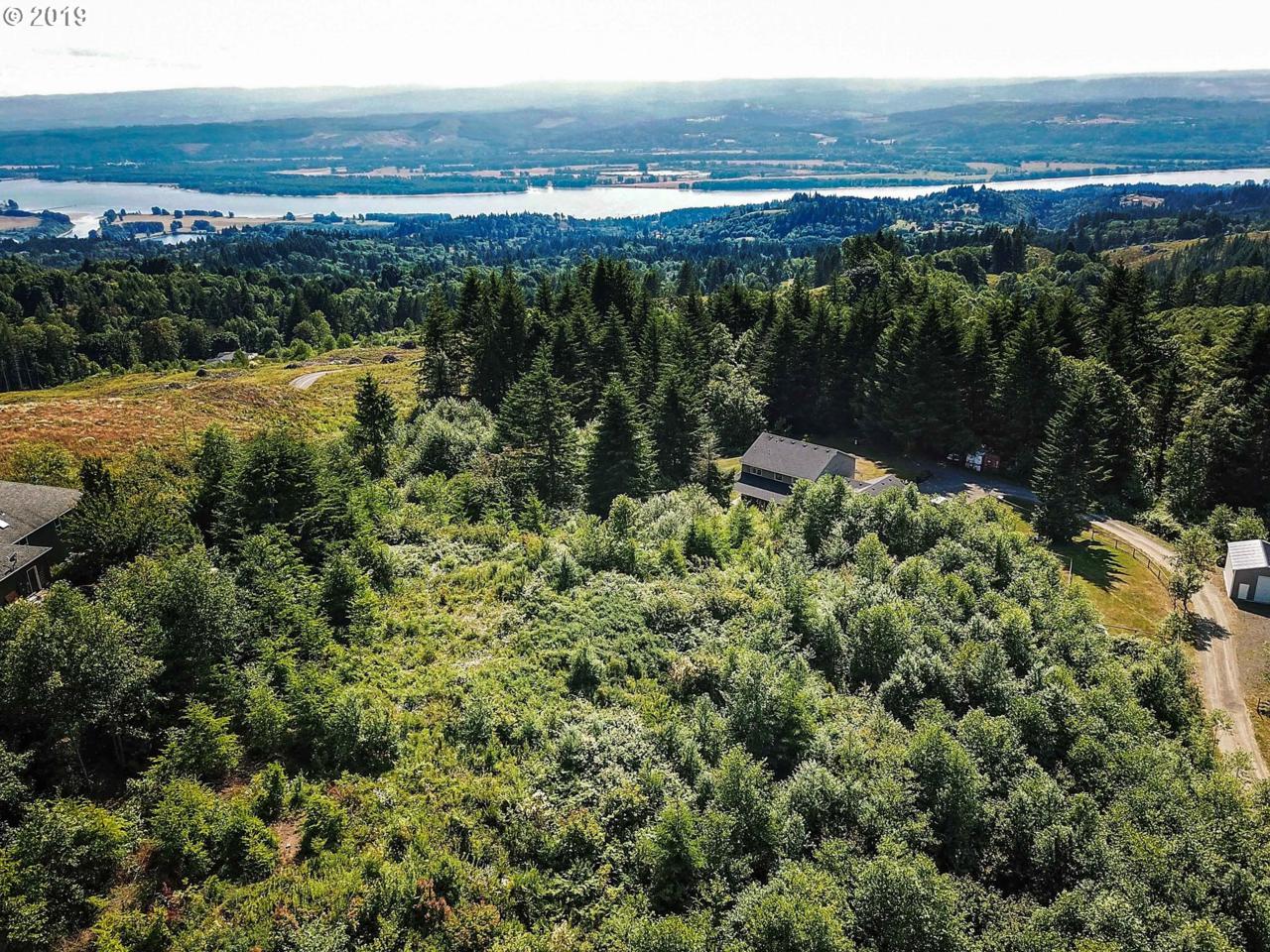 180 Black Jack Dr - Photo 1
