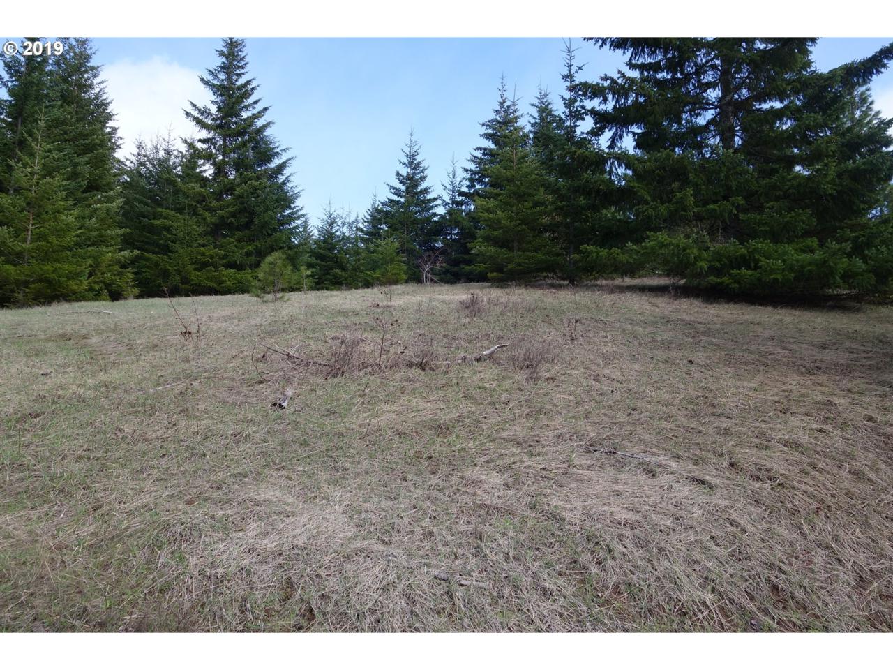 15 Brookside Rd - Photo 1