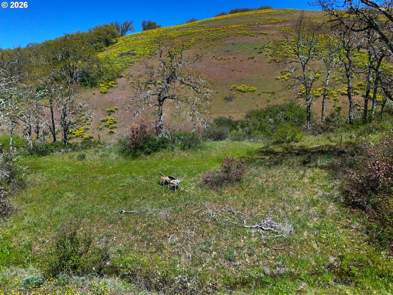  Kestrel Rd - Photo 1