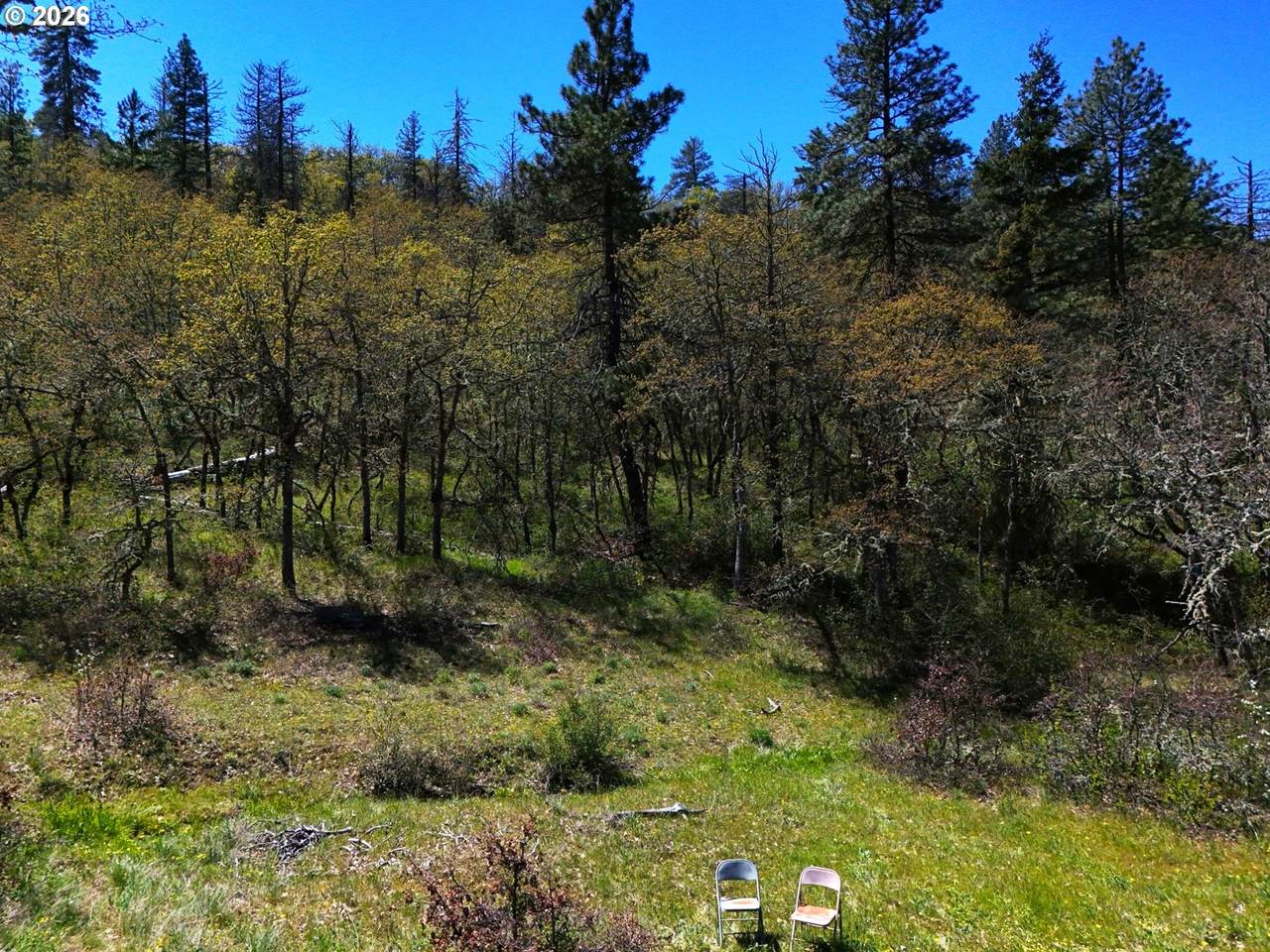 https://bt-photos.global.ssl.fastly.net/portland/1280_boomver_1_198169379-2.jpg
