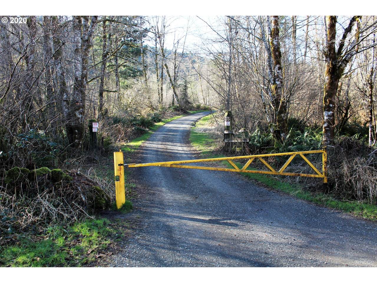 0 Ne Buncombe Hollow R - Photo 1