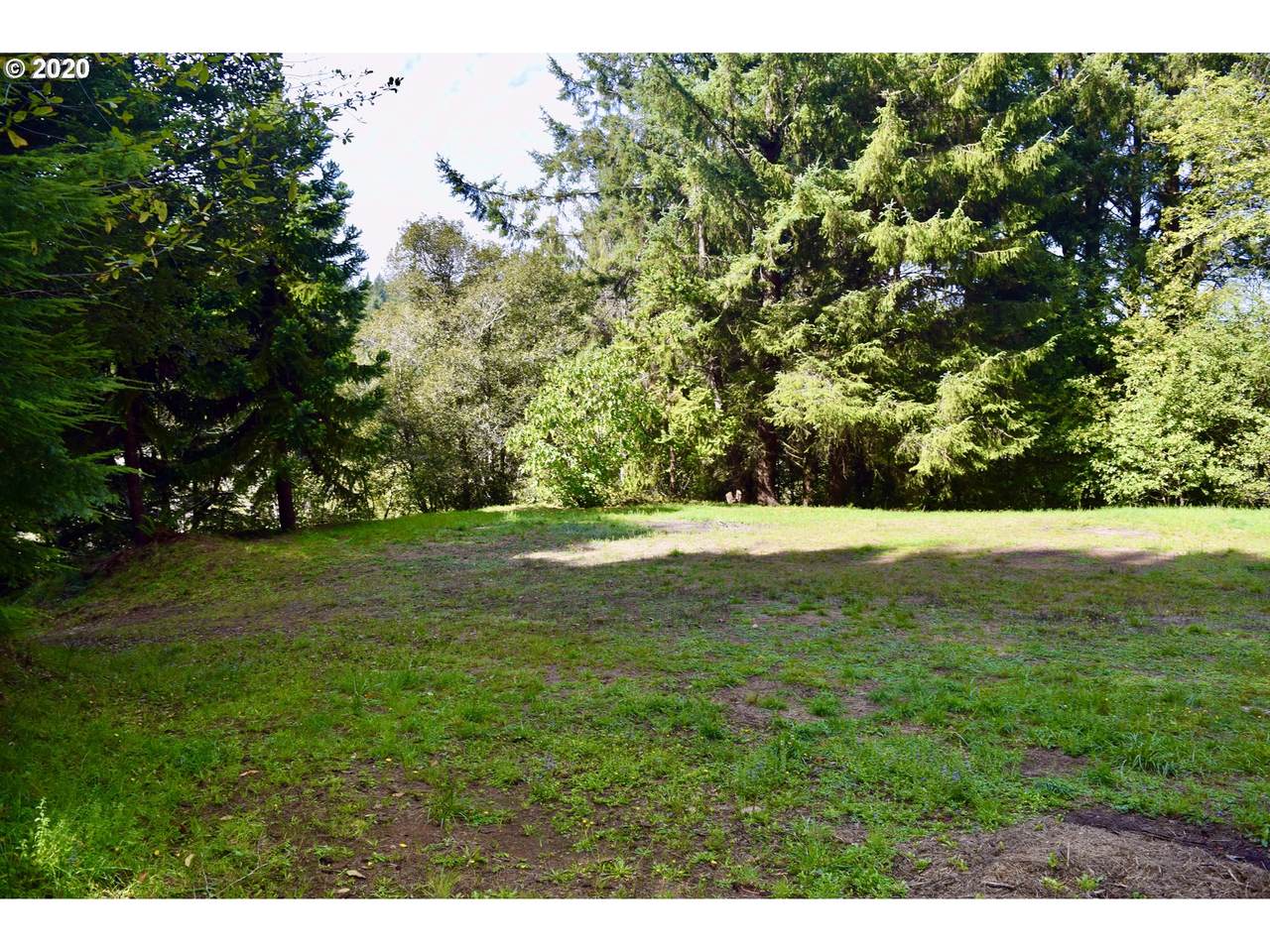 Greggs Creek Rd - Photo 1