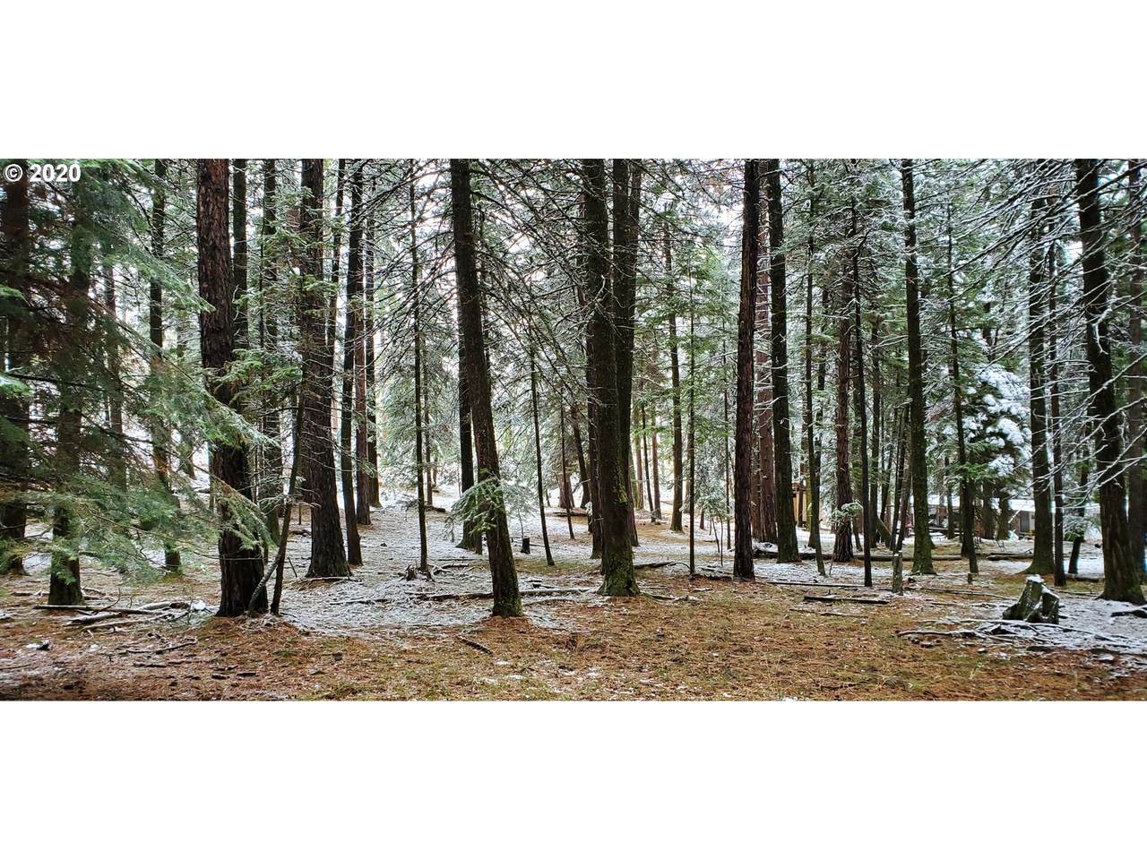 Blake Ranch - Photo 1