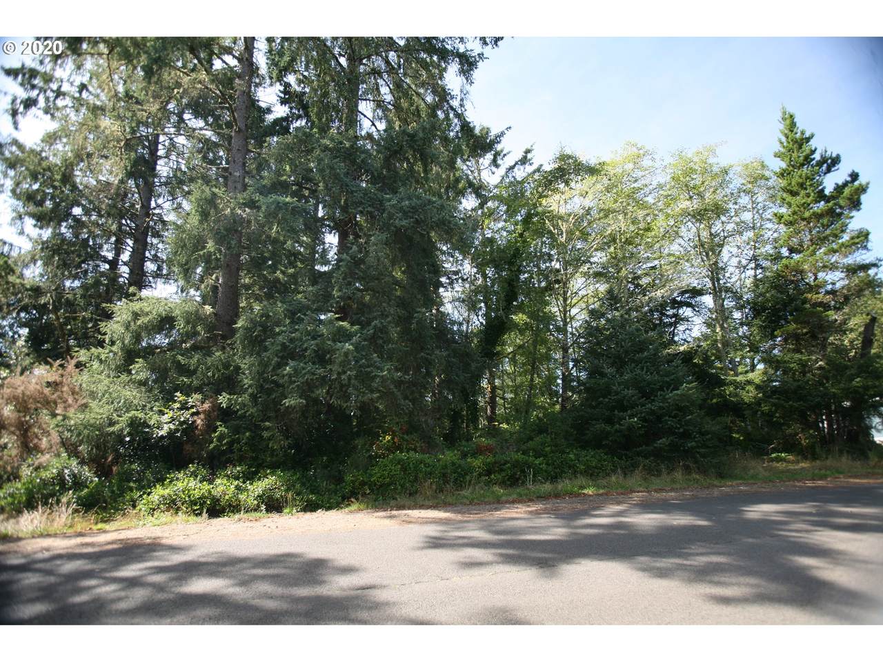 Douglas Dr - Photo 1