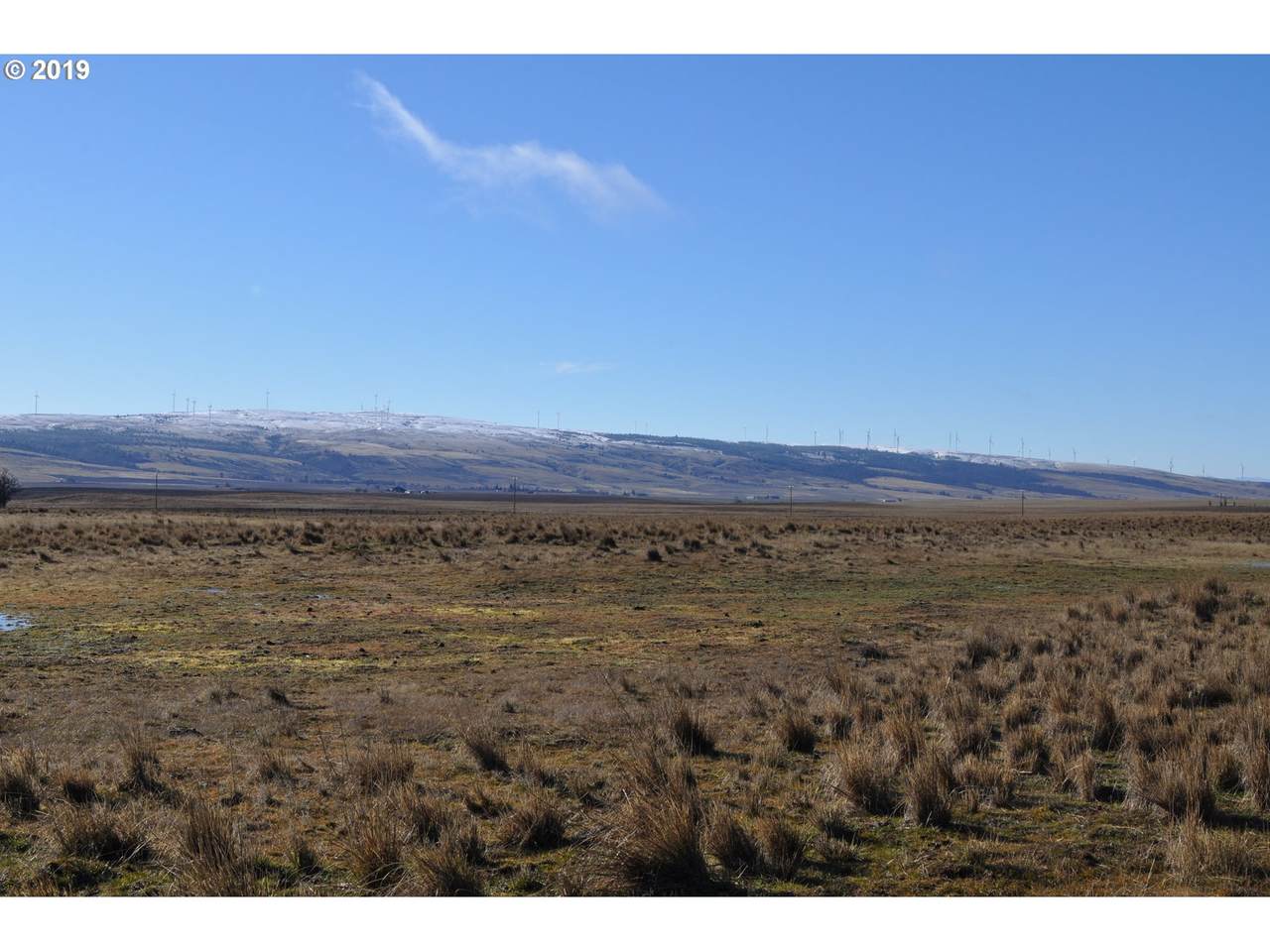 Cowboy Trail Rd - Photo 1