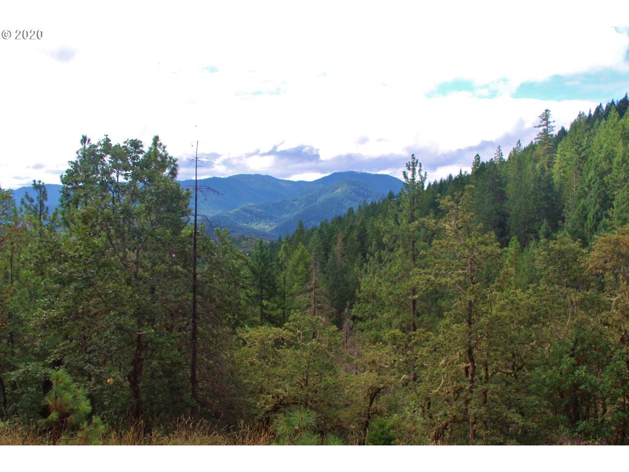 0 Jones Creek Rd - Photo 1