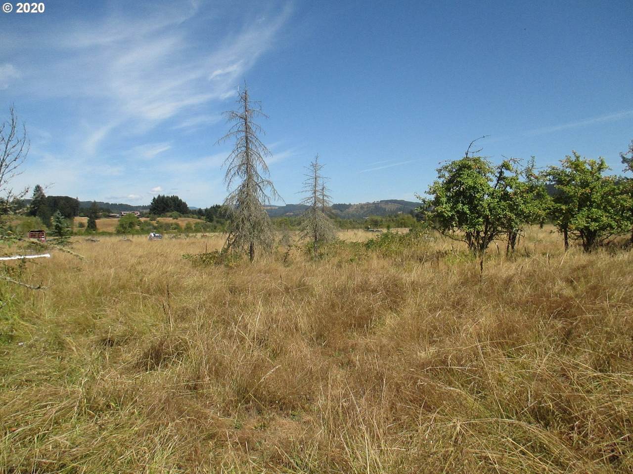 38700 Allen Rd - Photo 1