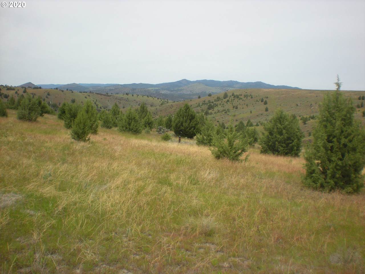 26613 Bench Rd - Photo 1
