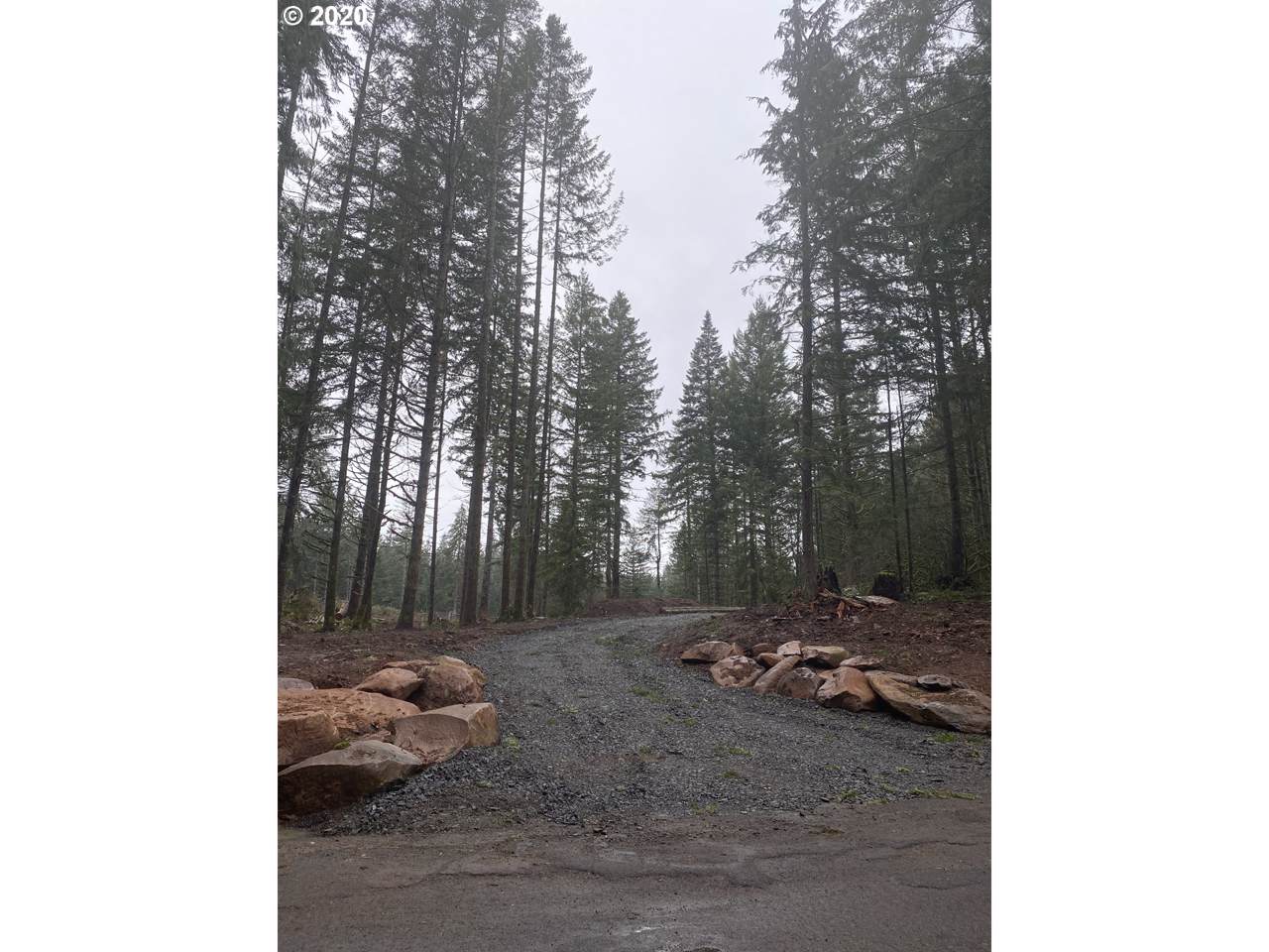 22404 Forest Park Rd - Photo 1