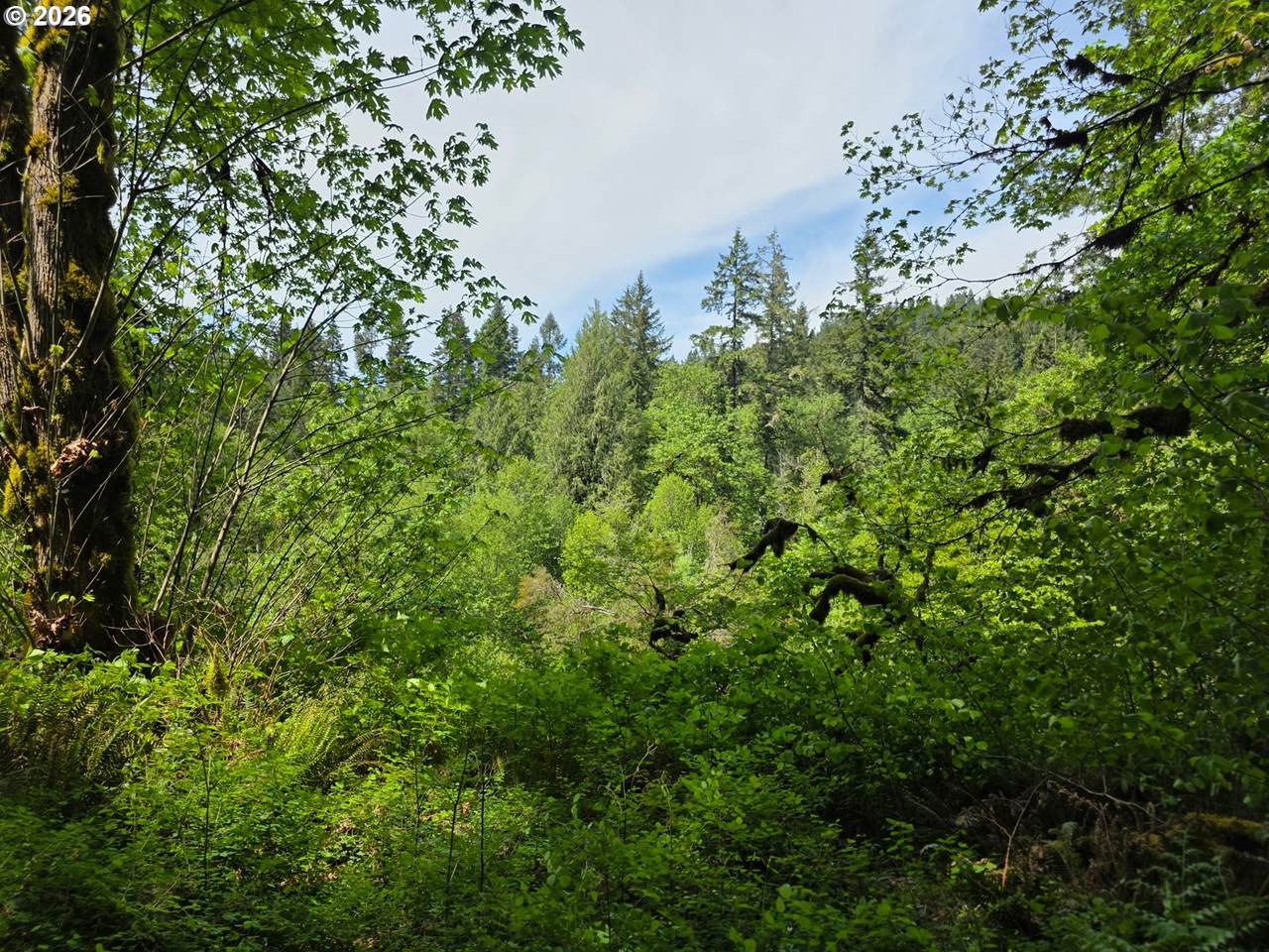 https://bt-photos.global.ssl.fastly.net/portland/1280_boomver_1_201917161-2.jpg
