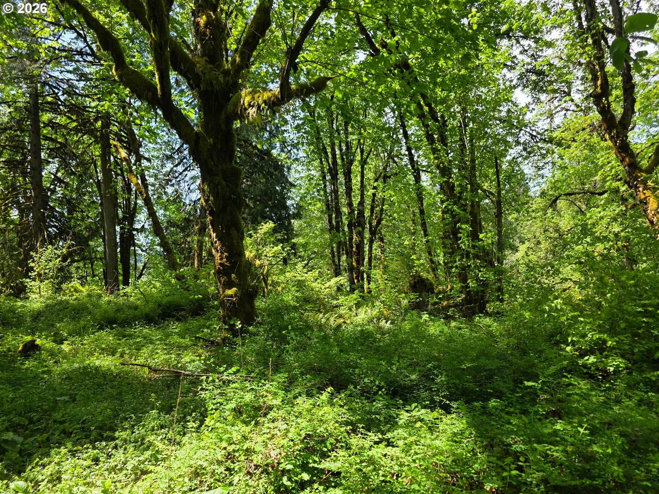 https://bt-photos.global.ssl.fastly.net/portland/1280_boomver_1_201917161-2.jpg