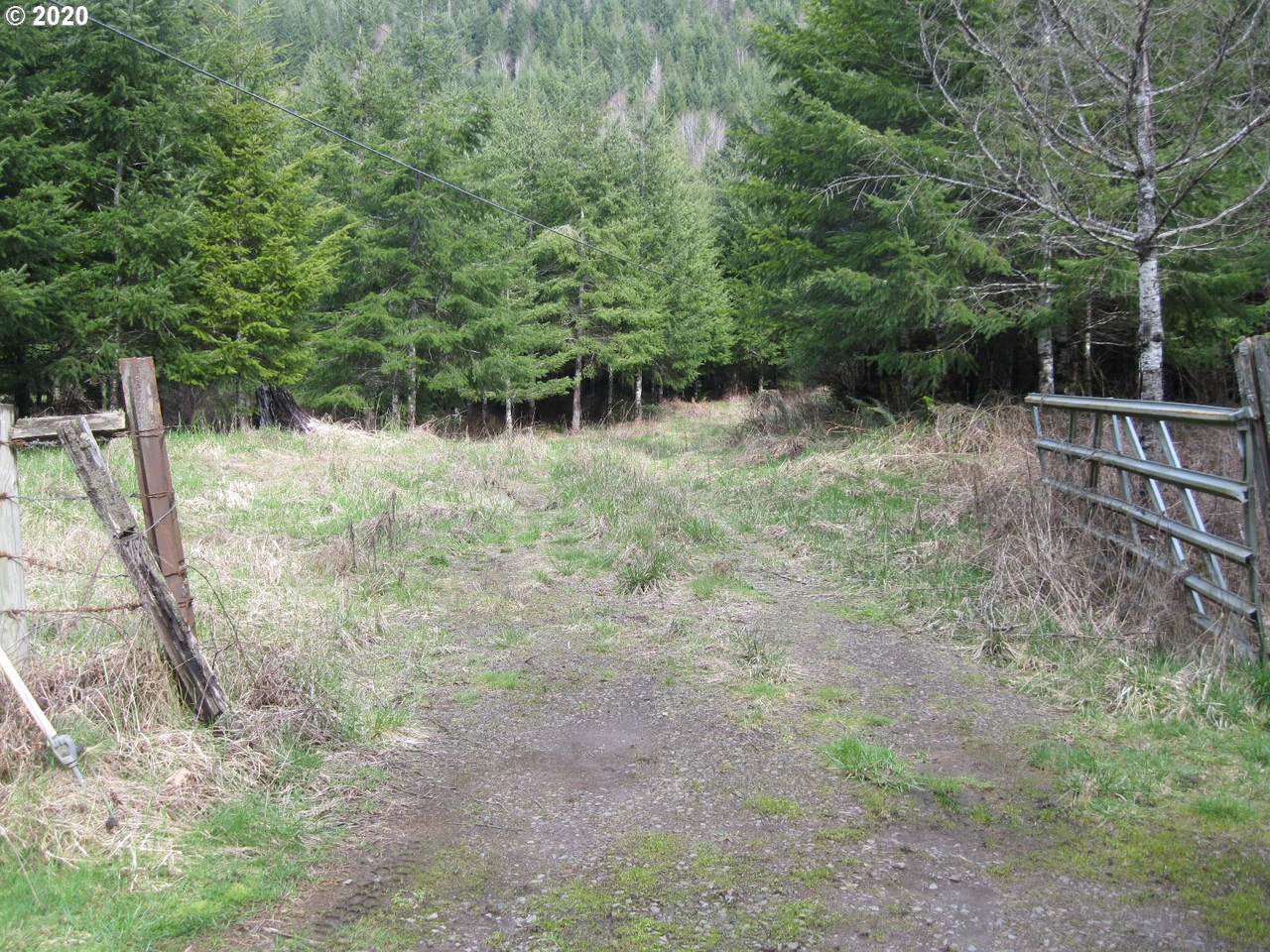 O Black Ln - Photo 1