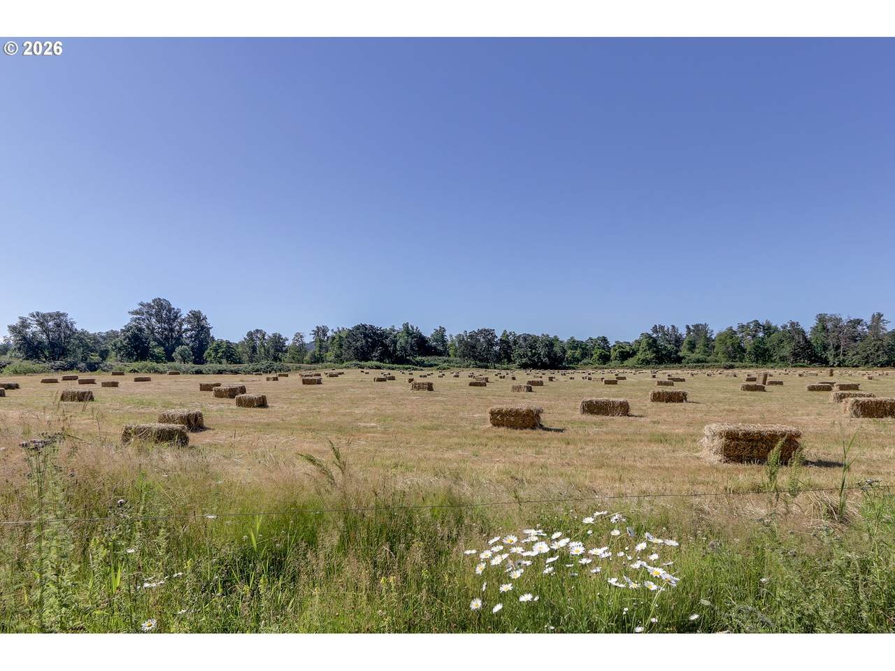 https://bt-photos.global.ssl.fastly.net/portland/1280_boomver_1_202727968-2.jpg