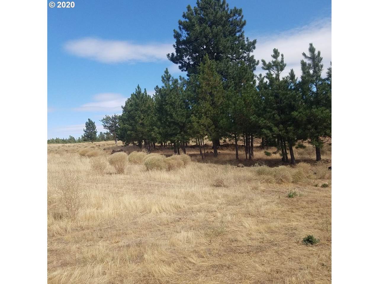 12 Saddle Dr - Photo 1