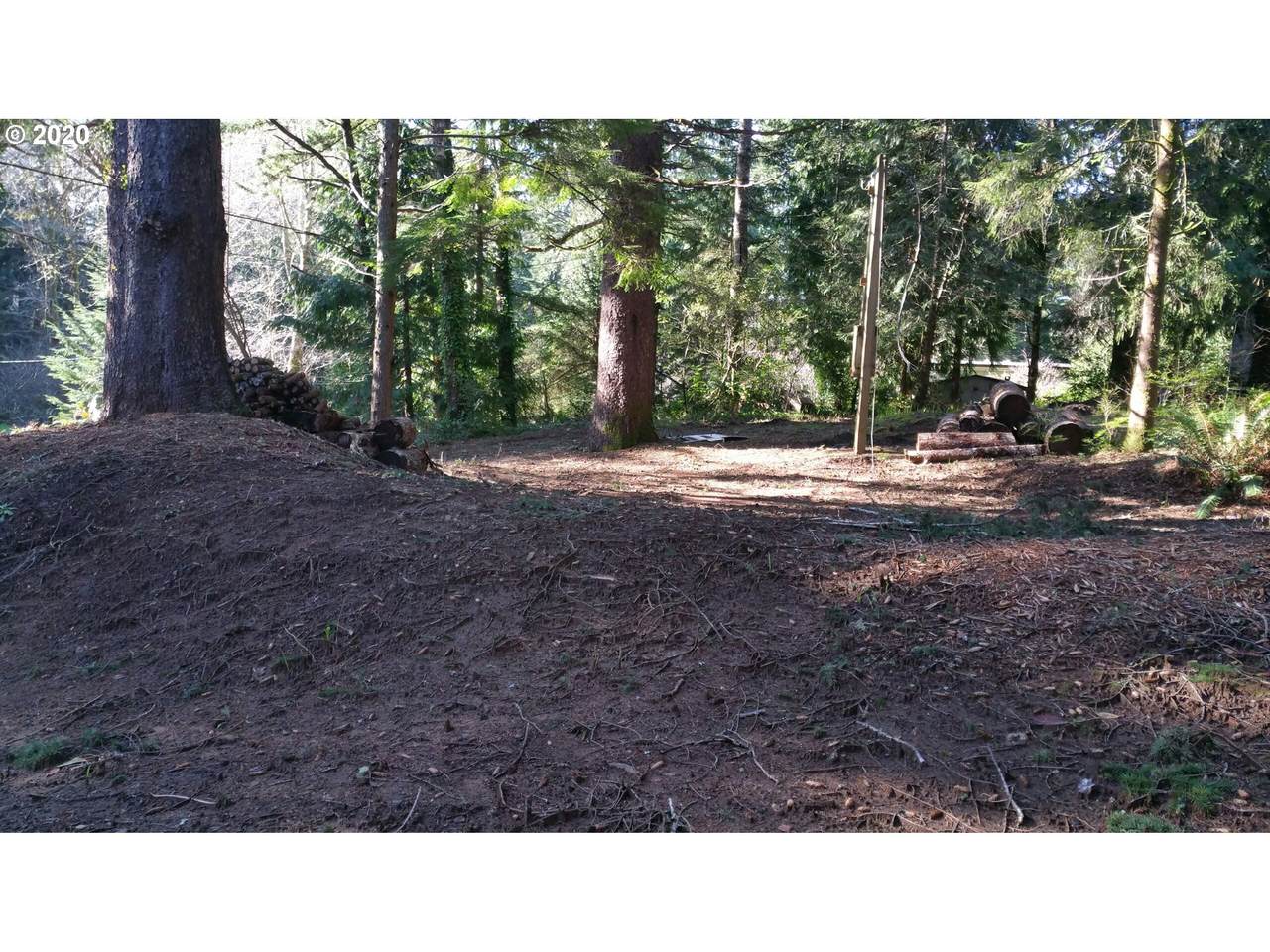 89440 Shore Crest Dr - Photo 1
