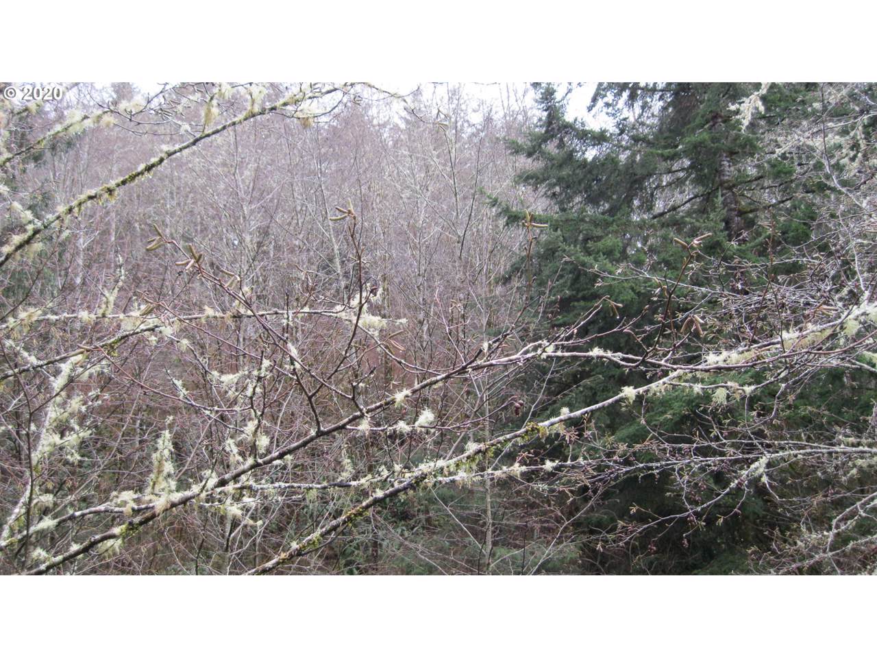 0 Libby Ln - Photo 1