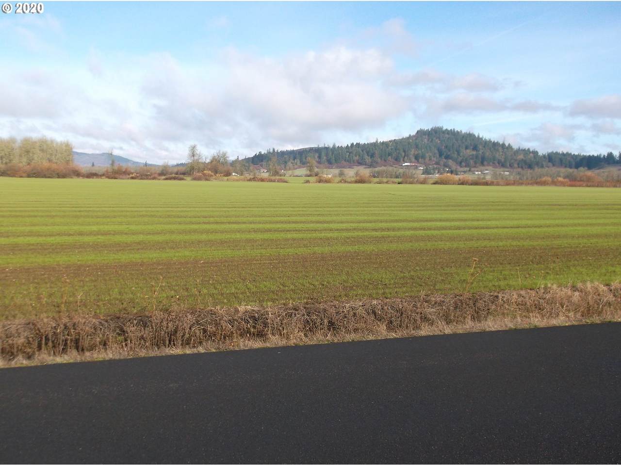 Hendricks Rd - Photo 1