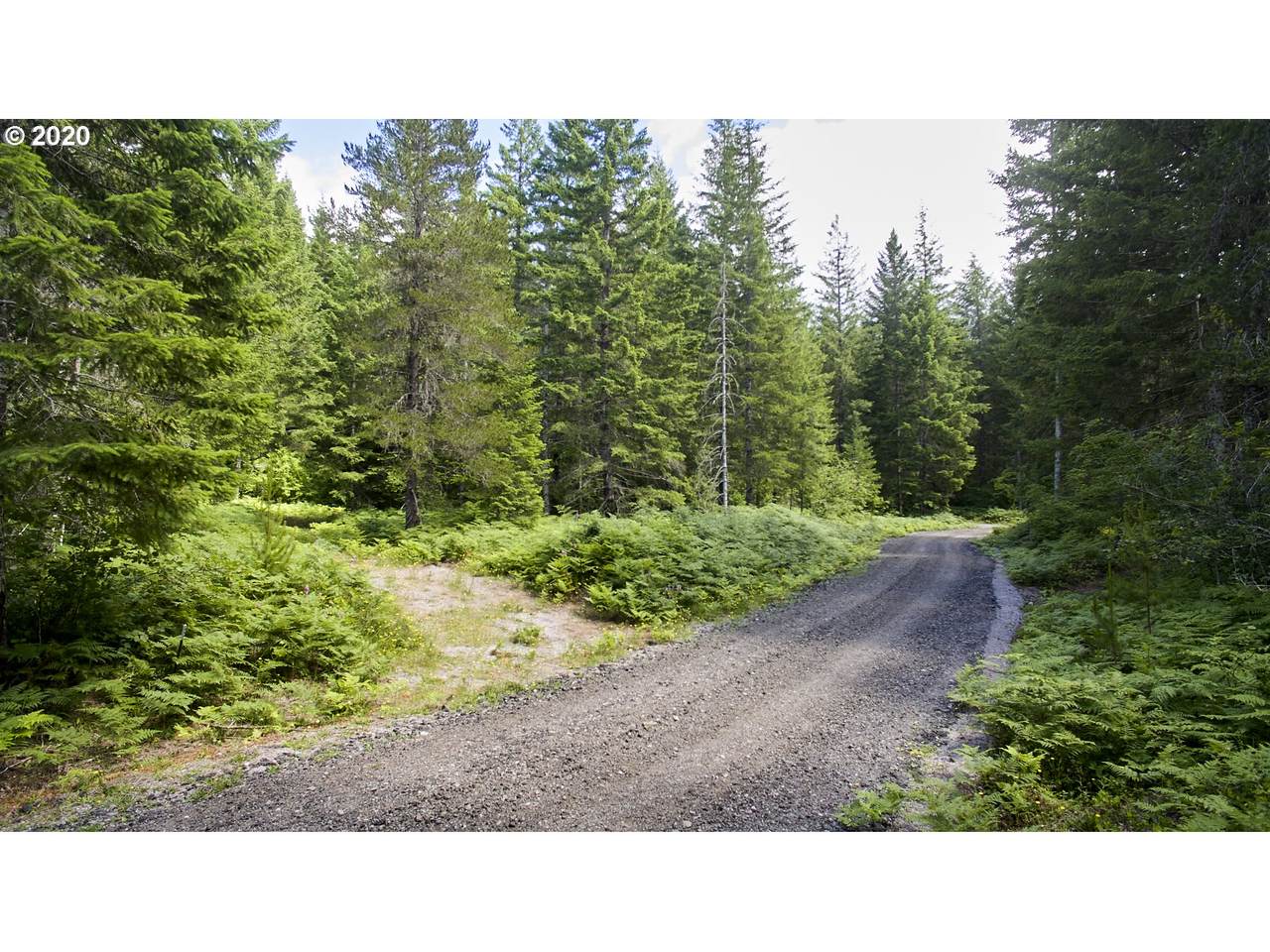 Lahar Ln - Photo 1