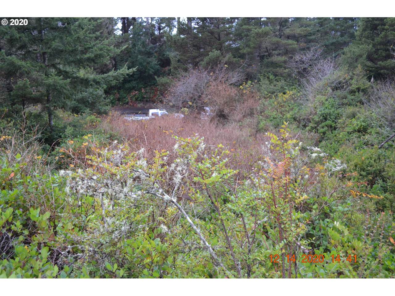 Hidden Lake Dr - Photo 1
