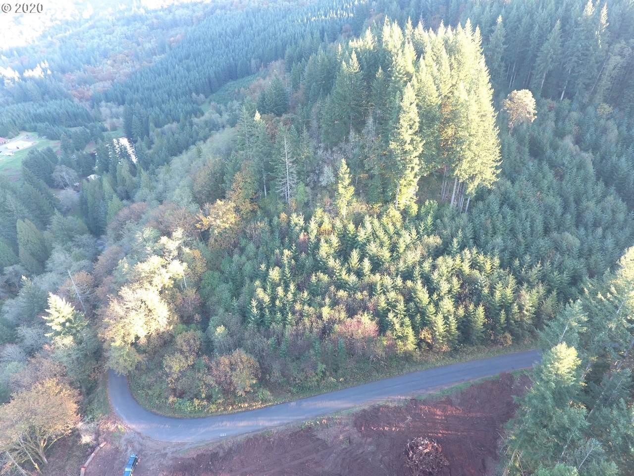 0 Basket Flat Rd - Photo 1