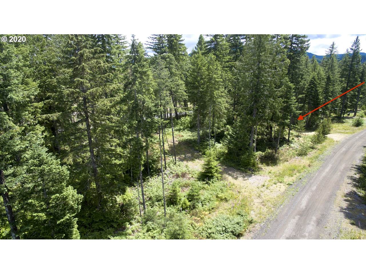 2 Lodgepole Ln - Photo 1