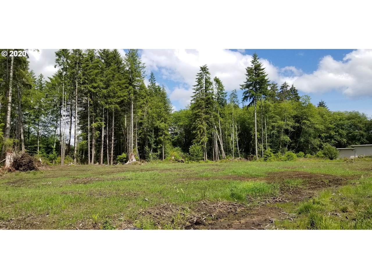 0 St Rt 4 Hwy - Photo 1