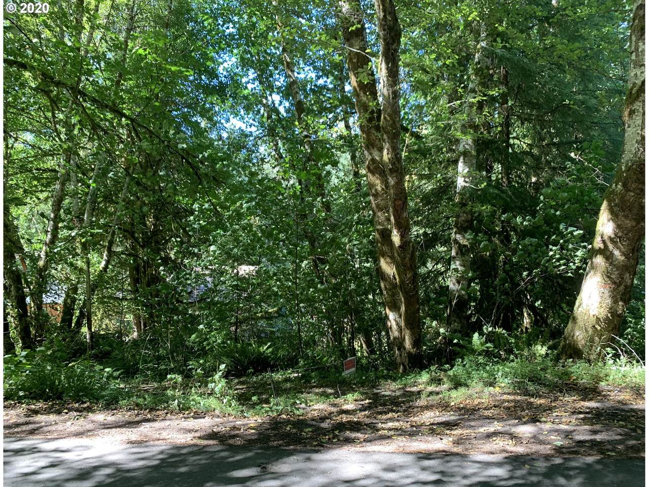 71541 Fishhawk Rd - Photo 1