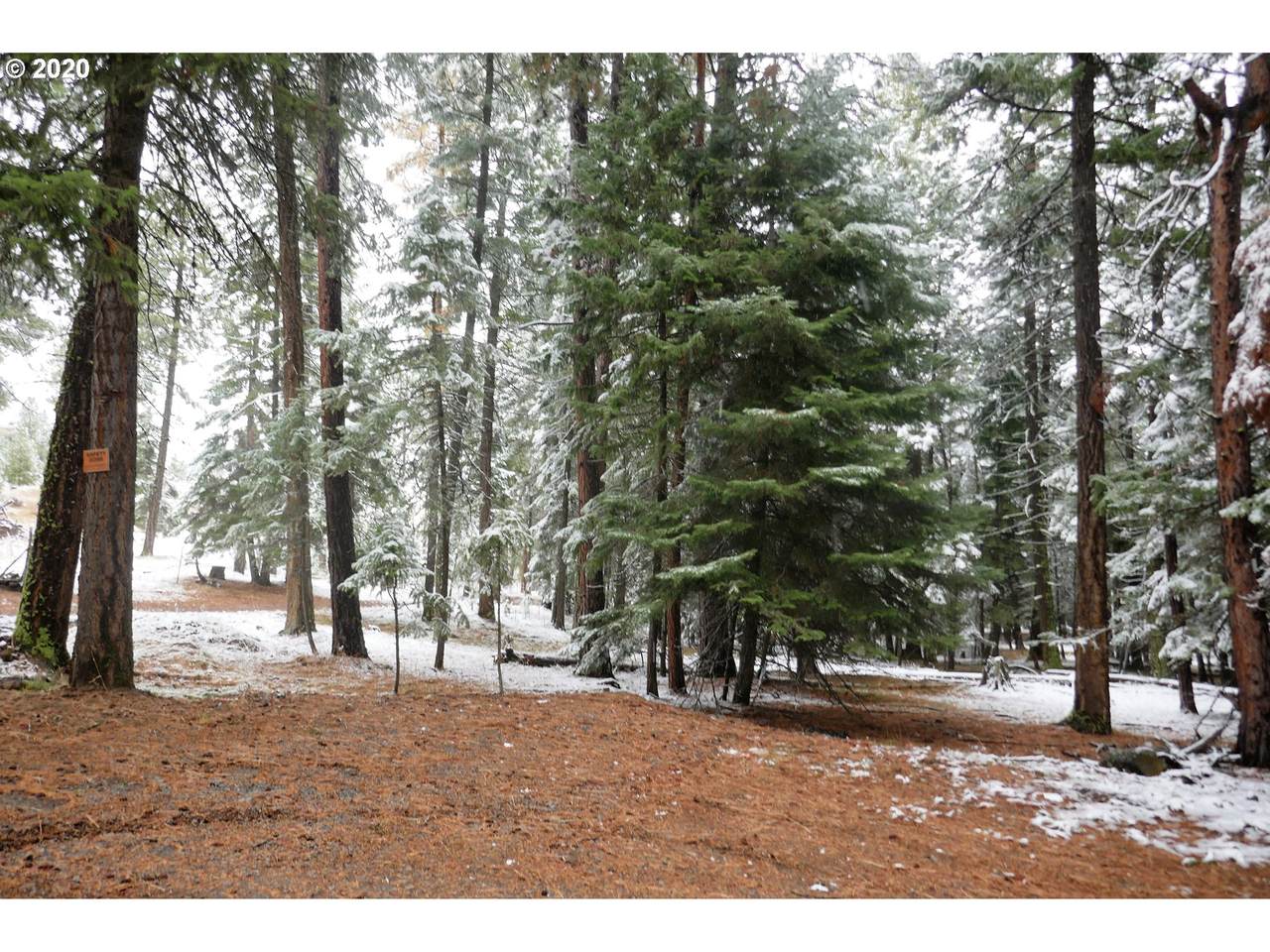 Blake Ranch - Photo 1
