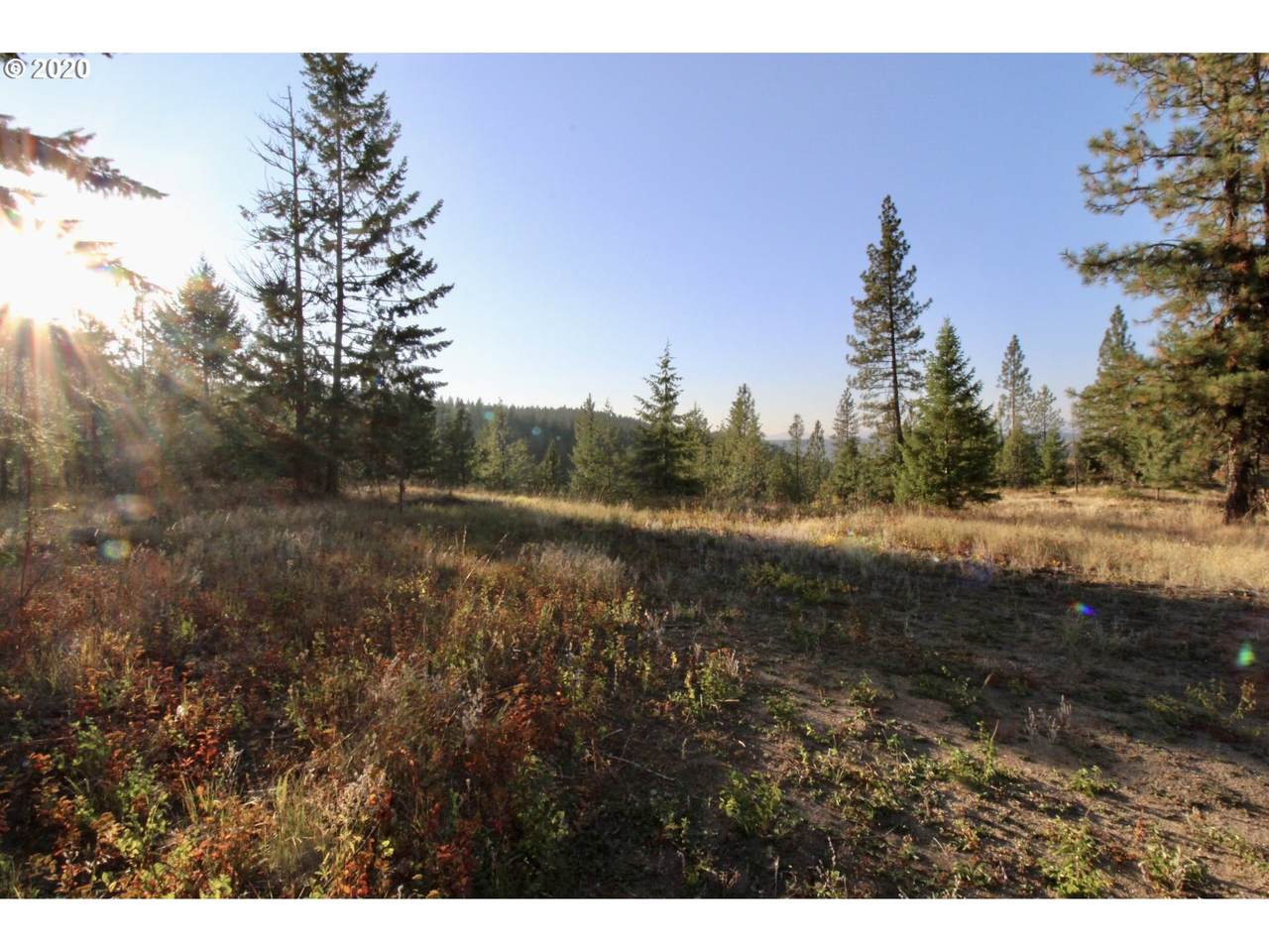 0 Rail Canyon Rd - Photo 1