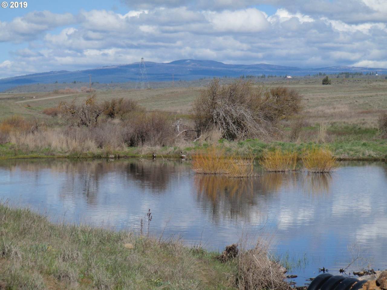Three Spurs Loop - Photo 1