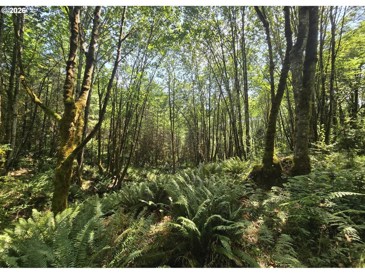  Tide Creek Rd - Photo 1