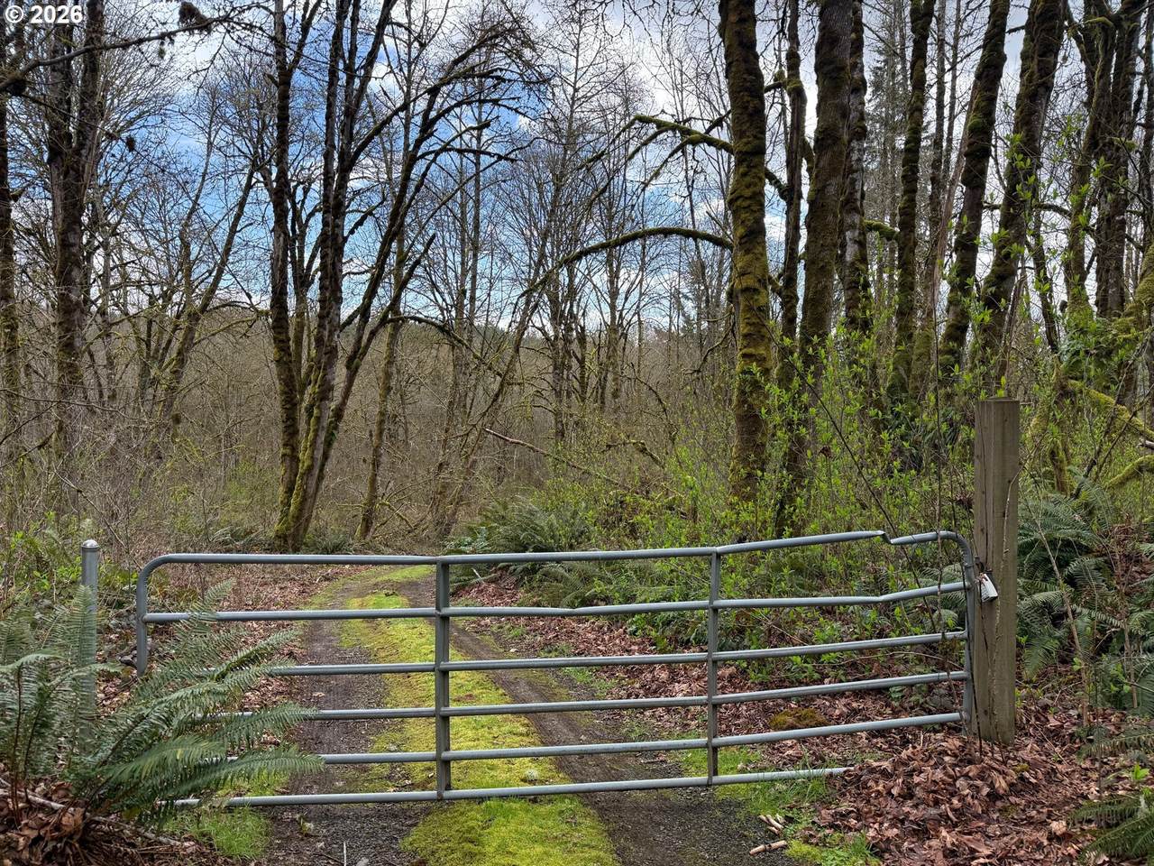 https://bt-photos.global.ssl.fastly.net/portland/1280_boomver_1_205101086-2.jpg
