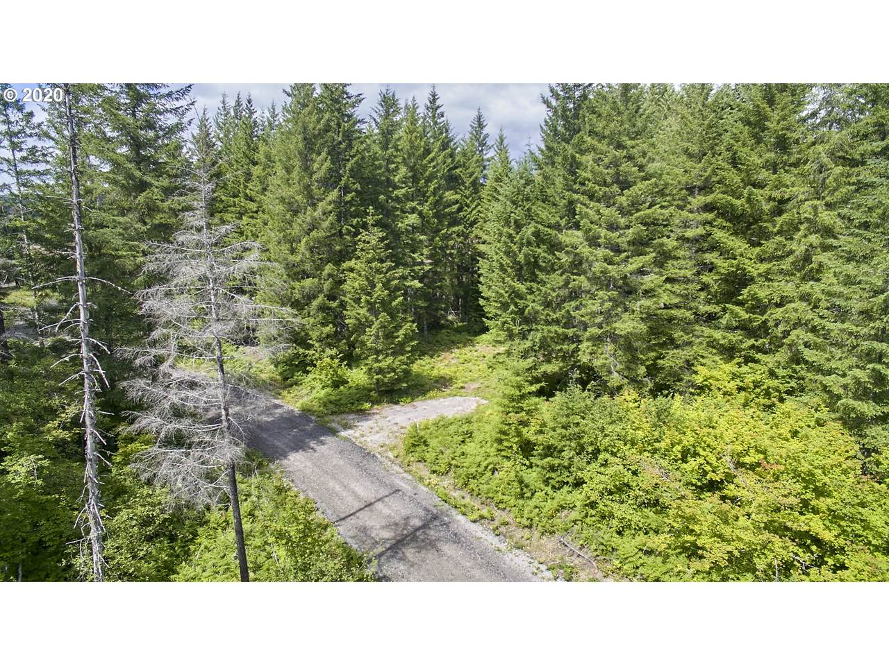 Lahar Ln - Photo 1