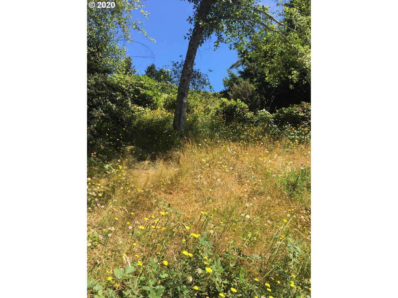 Pelican Bay Dr - Photo 1