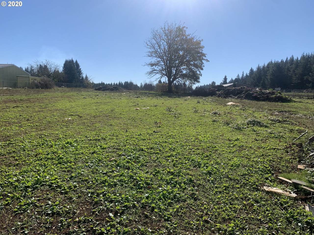 33888 Kelso Rd - Photo 1