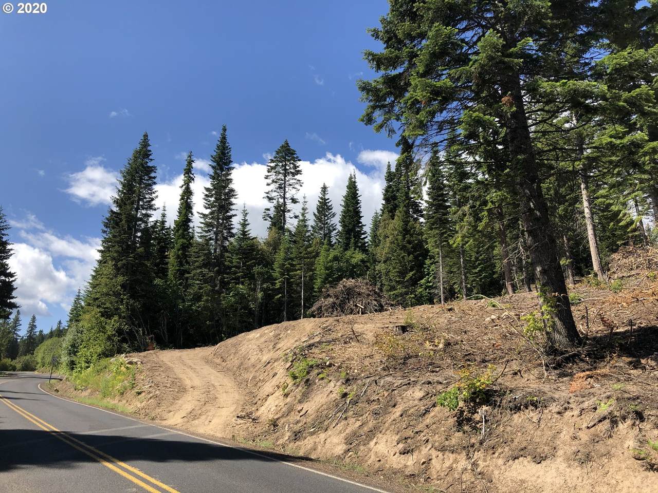 9700 Cooper Spur Rd - Photo 1