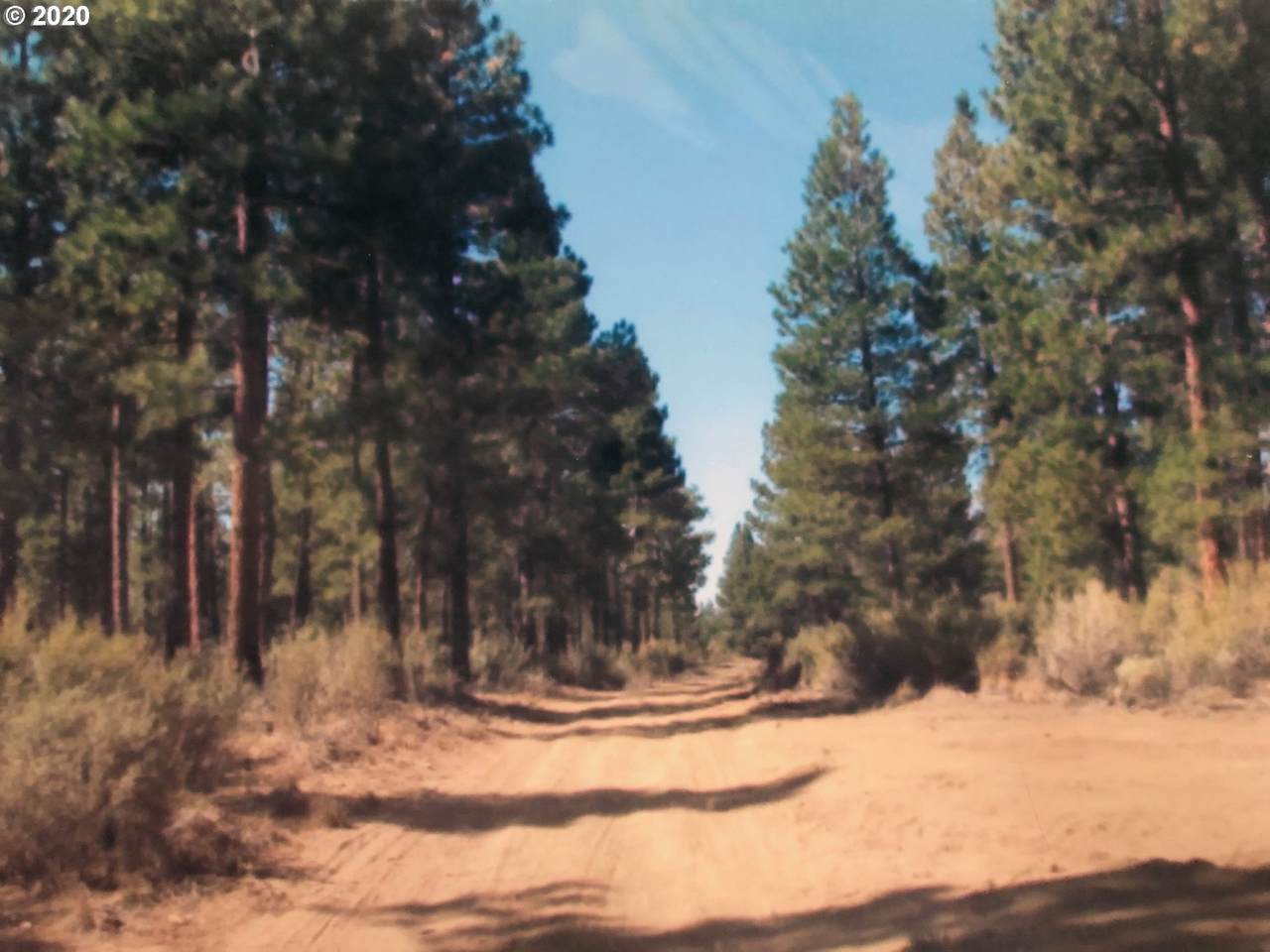 Klamath Forest Estat - Photo 1