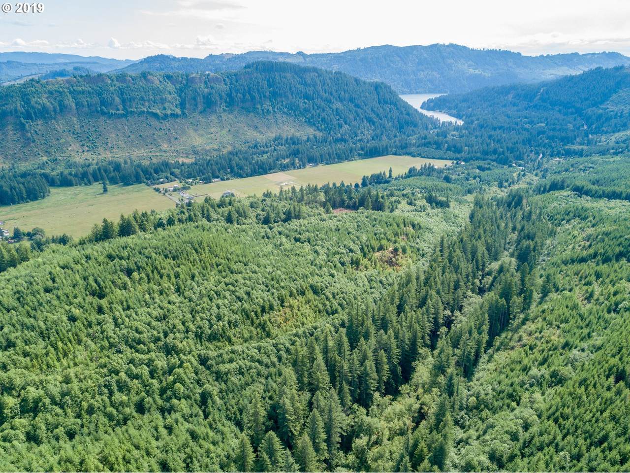 0 Central Valley Rd - Photo 1