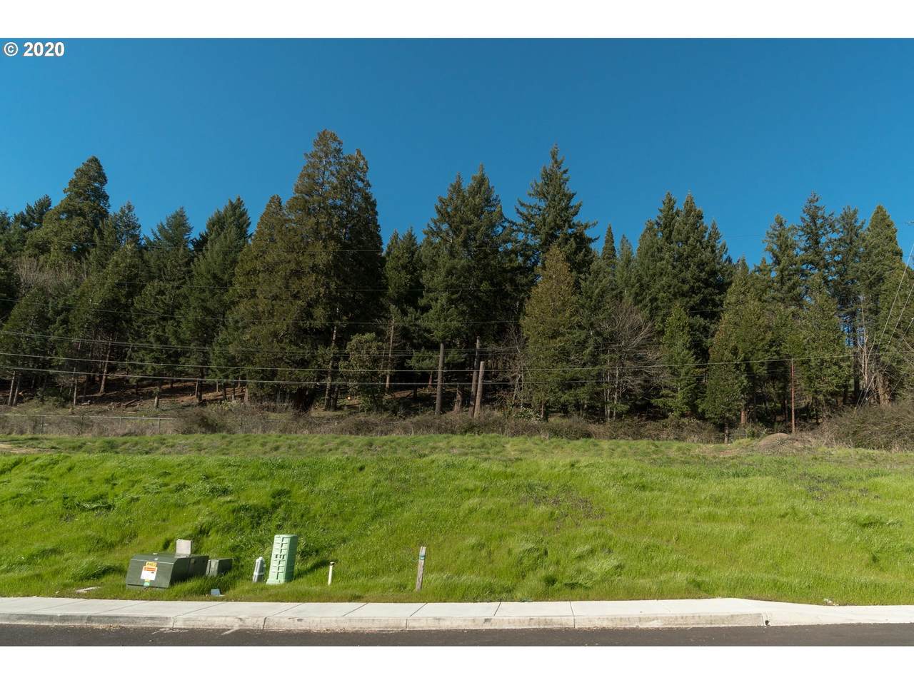127 Shelton Mcmurphey Blvd - Photo 1