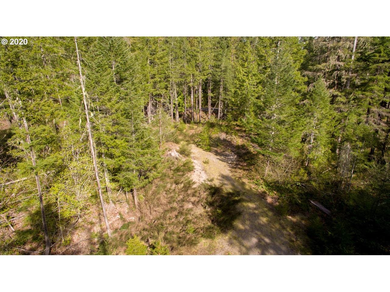 1 Lodgepole Ln - Photo 1