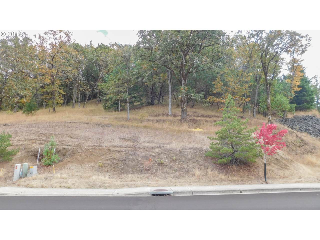 165 Winchester Creek Ave - Photo 1
