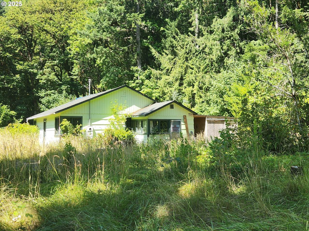 16807 Highway 36 - Photo 1