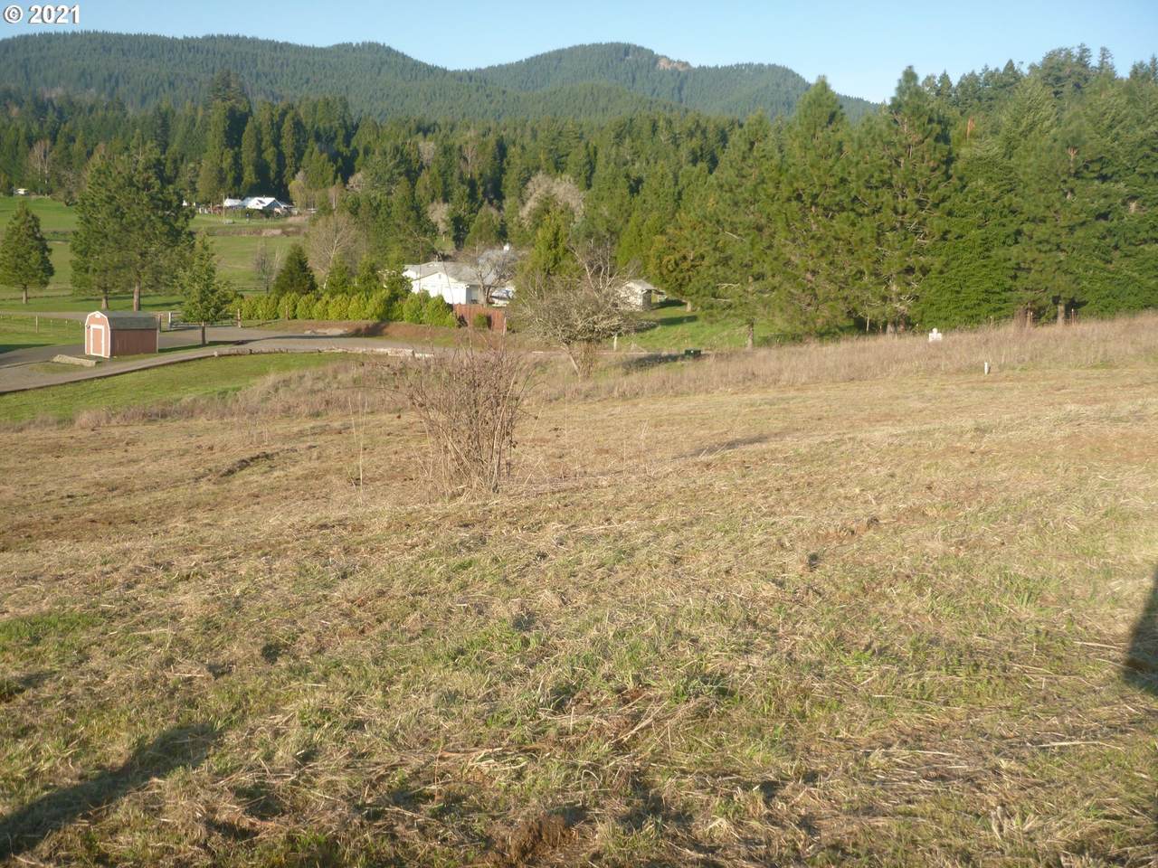 41, 42 Bugle Loop - Photo 1