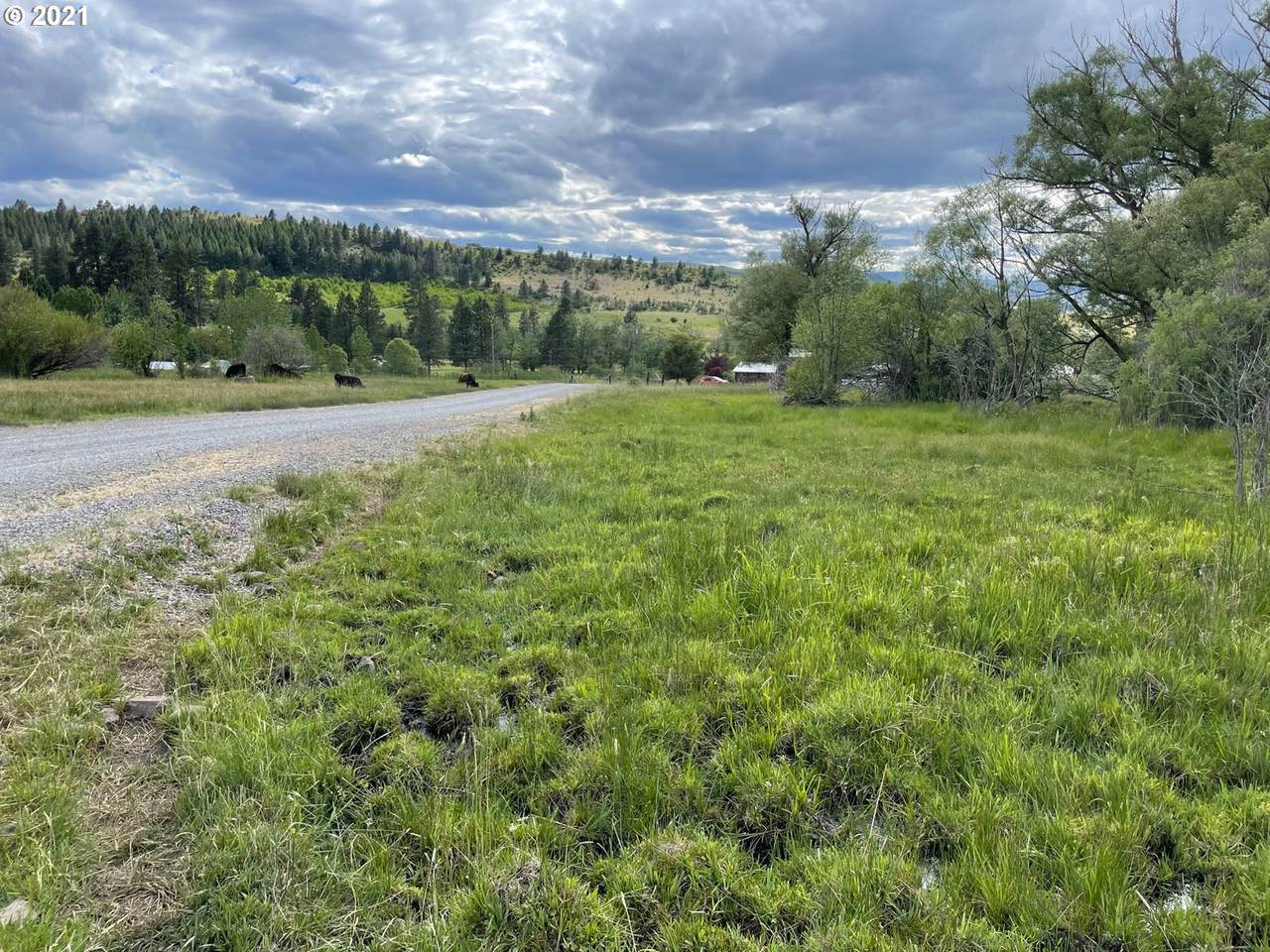 67579 Ruth Ln - Photo 1